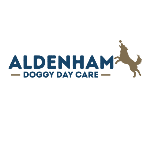 Aldenham Doggy Day Care