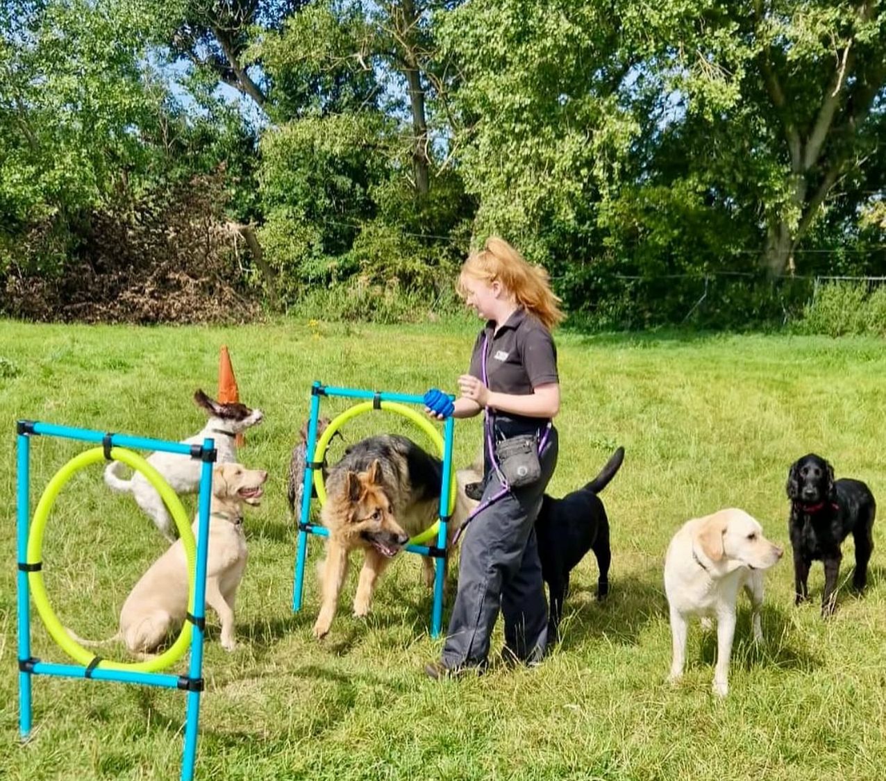 Enrichment Activities