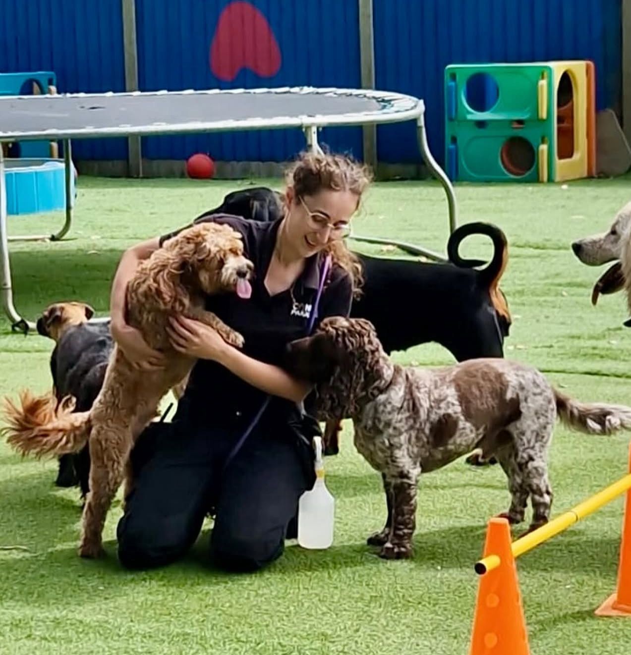 Individual Attention