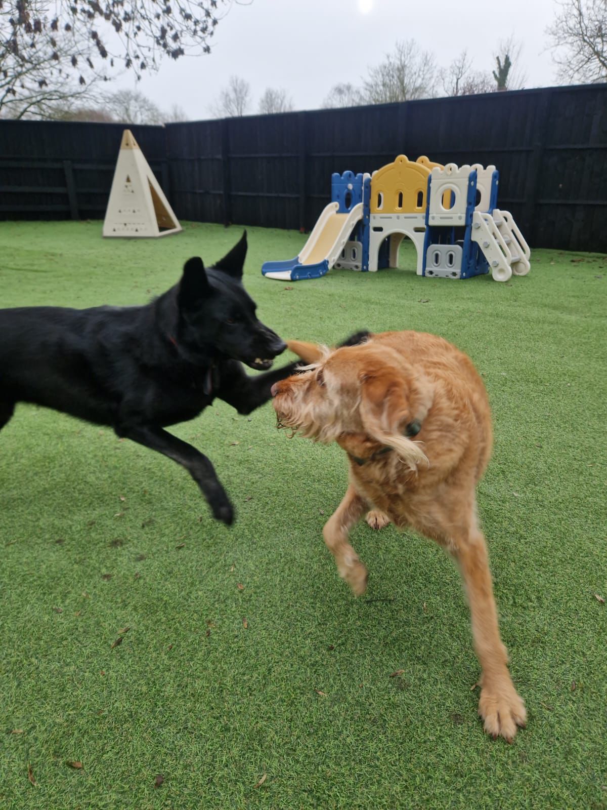 Enrichment Activities