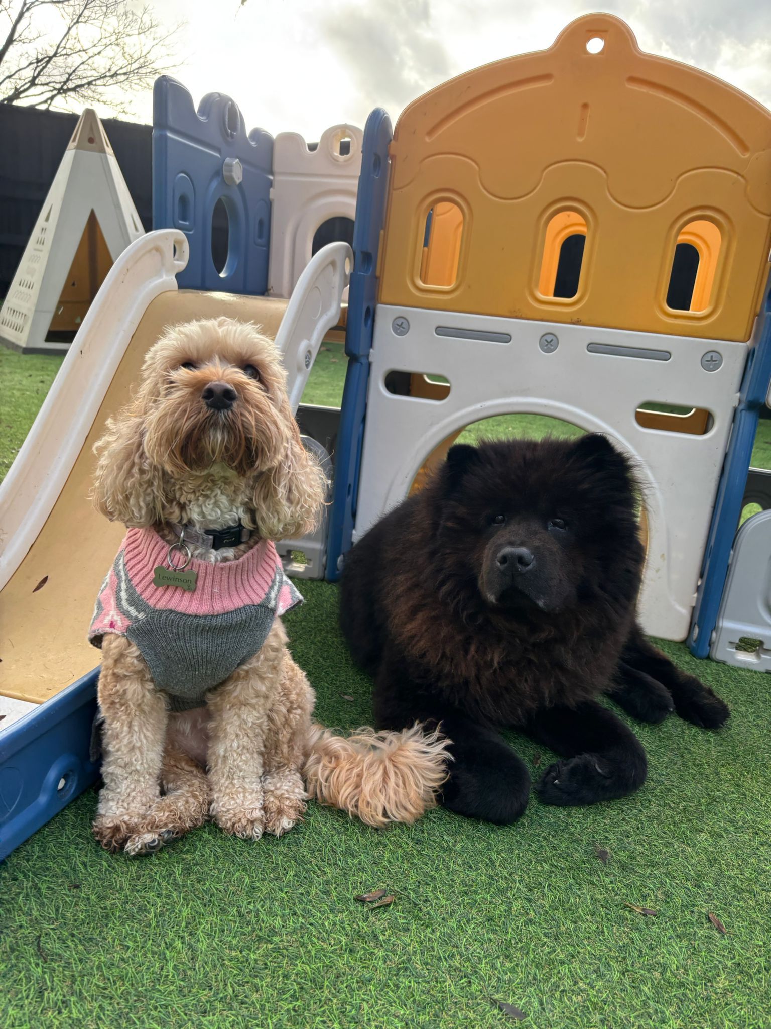 Full Day Care